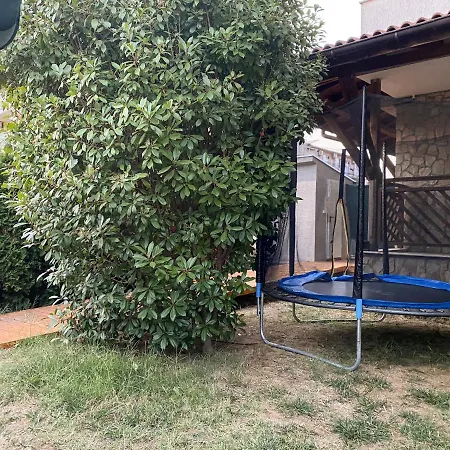 Mm Complex Dimitrovi Lägenhet